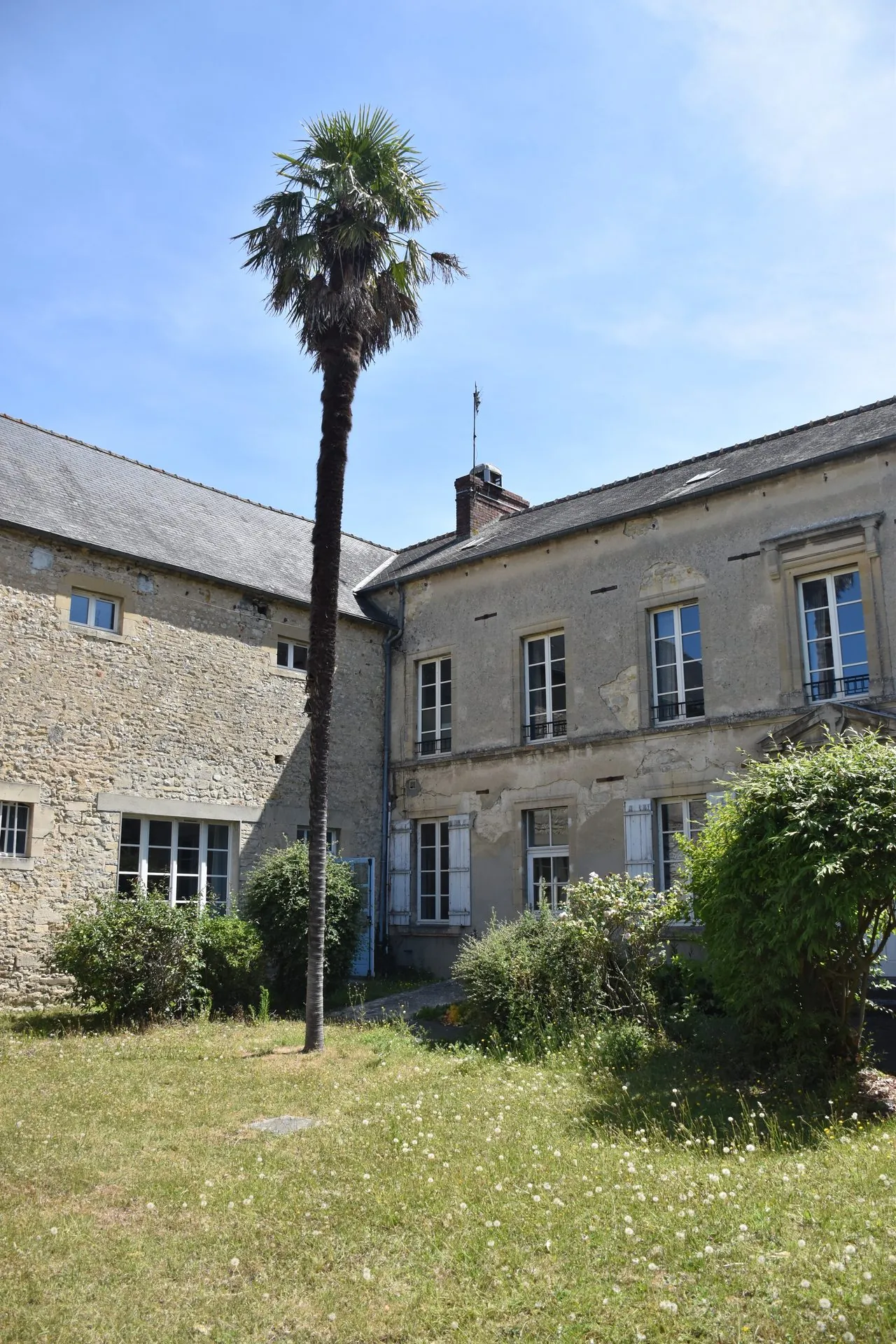 Cour et palmier du Logis des Grands Chapeaux